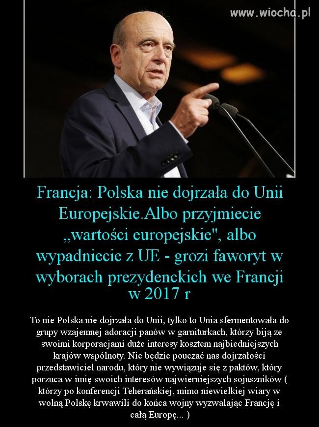 Nie dojrzeliśmy do Unii? Dojrzeli Ci, którzy