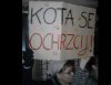 Dokładnie tak 