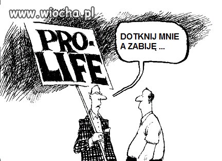 Coś w tym jest