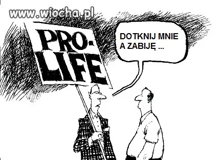 Coś w tym jest