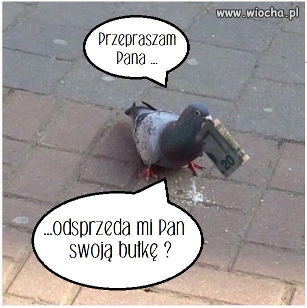 Nie lubi żebrać ...