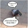 Nie lubi żebrać ...