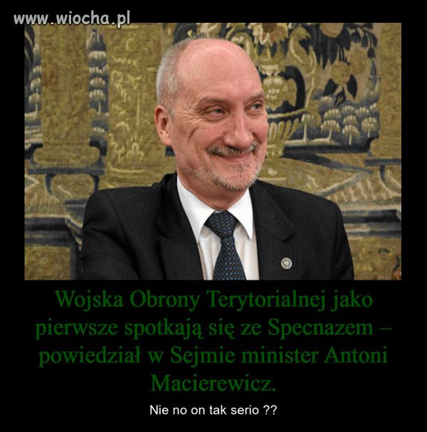 Mięso armatnie