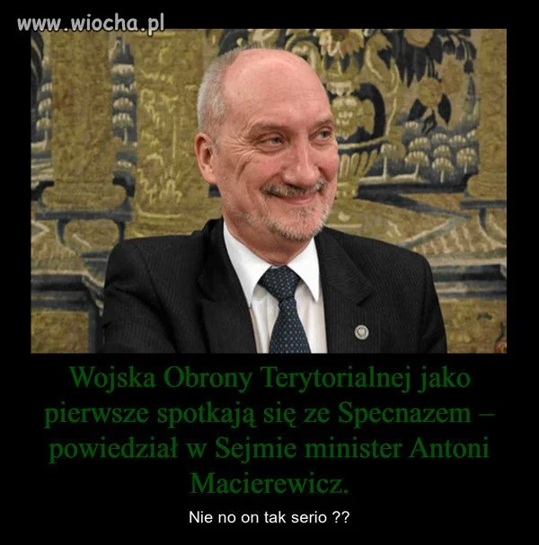 Mięso armatnie