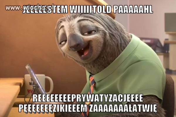 Przewlekłość spraw