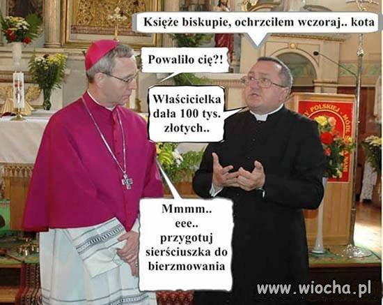 Sierściuch