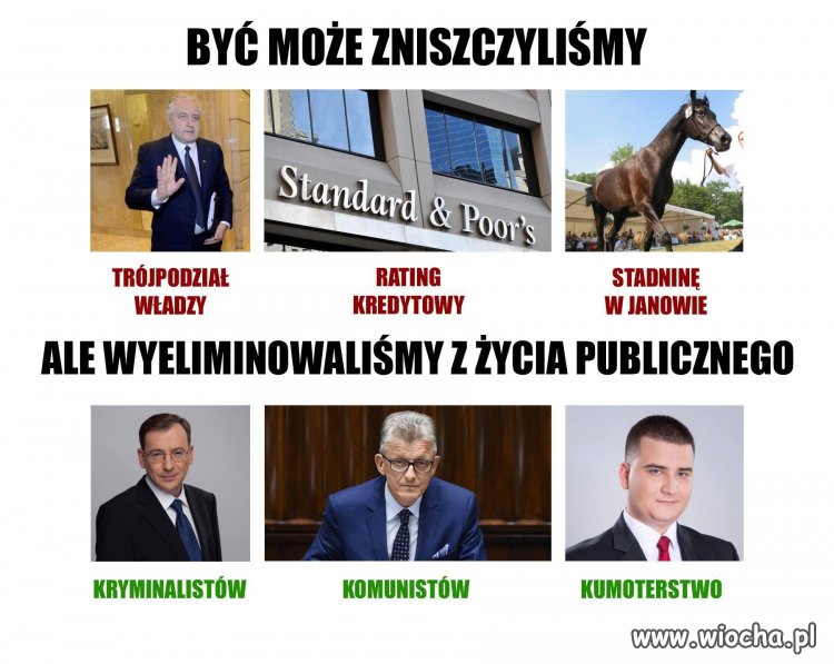 Sukcesy PiSu