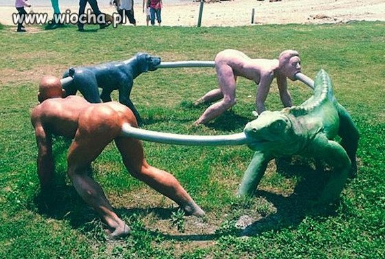 WTF?