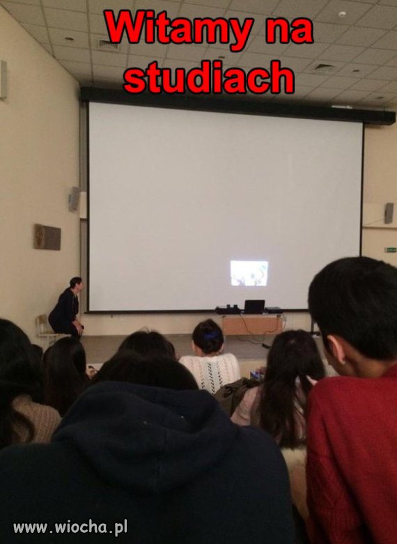 Studia.