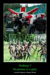 Rytuały dzikich