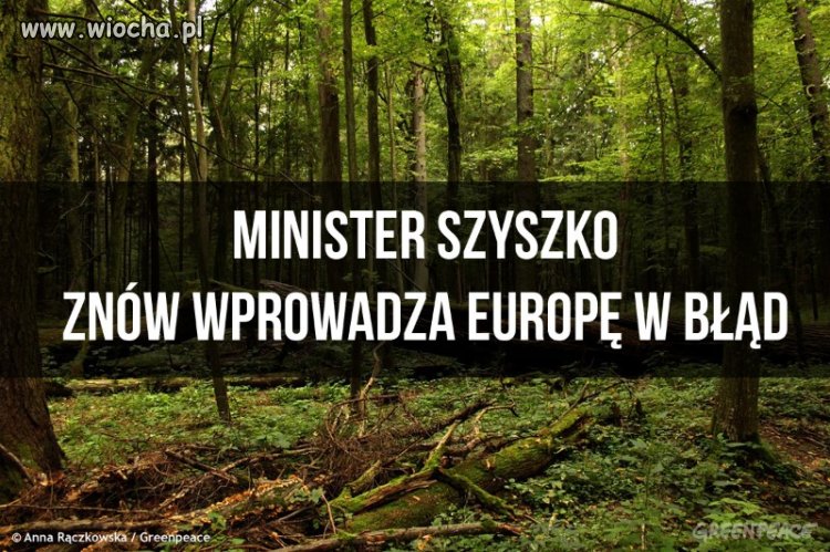 Nieprawdziwe informacje na forum europejskim