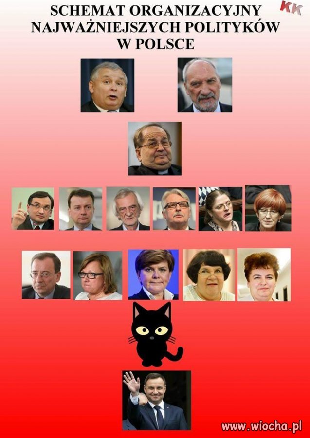 Dude mają tyko po to