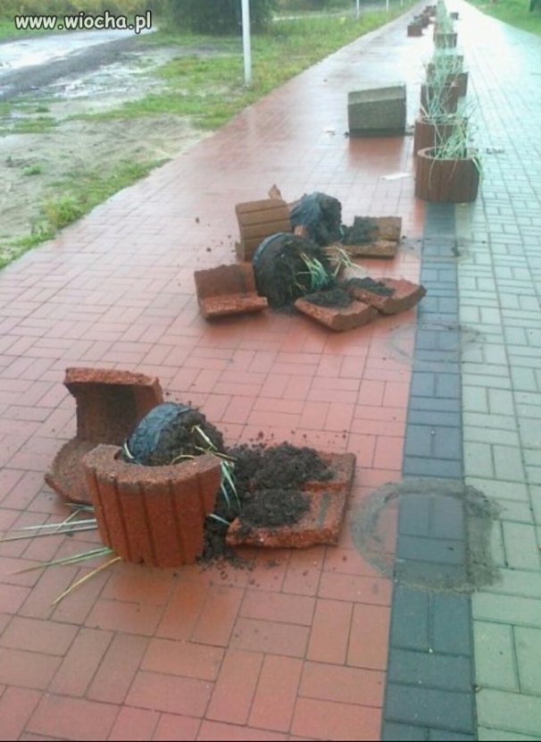 Trzeba mieć ostro nasrane w głowie...