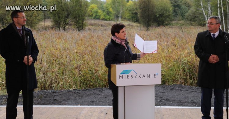 -Tu na razie jest ściernisko