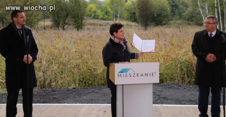 -Tu na razie jest ściernisko
