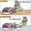 Koci paradoks