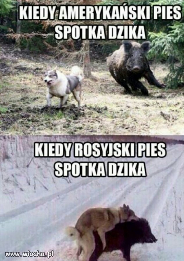 USA vs. Rosja