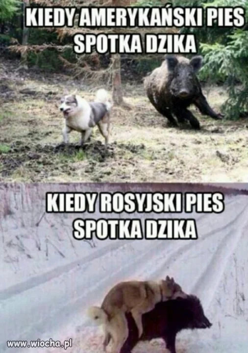 USA vs. Rosja