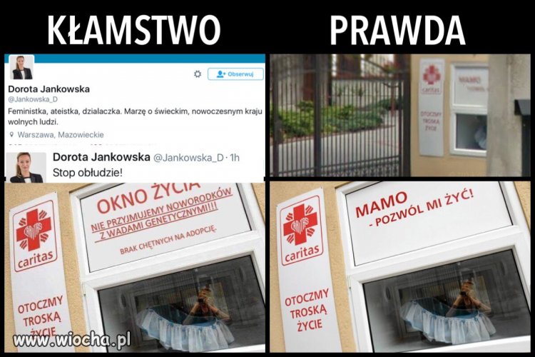Palikociara 