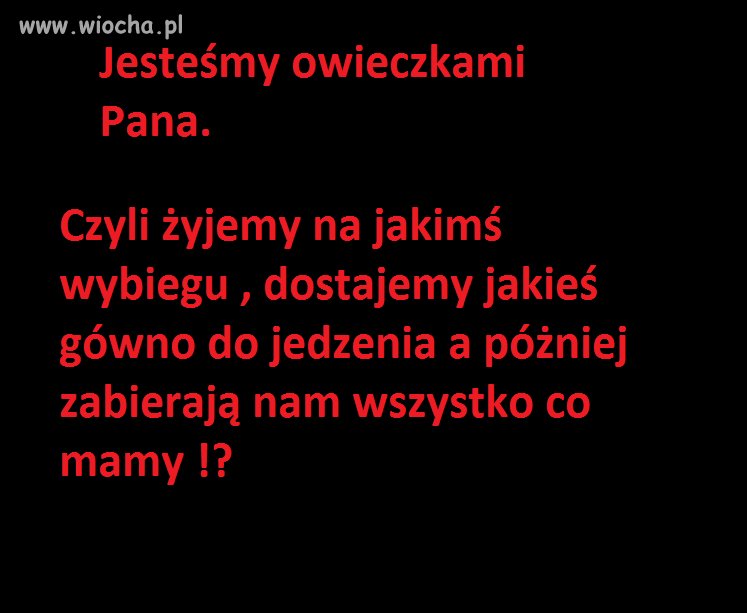 Przemyślenia.