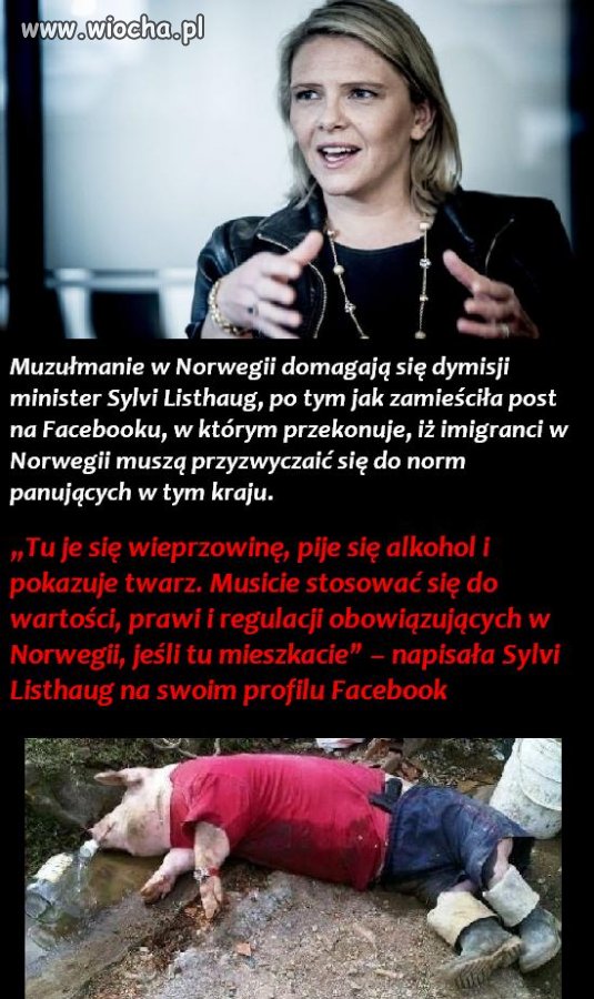 Ich kraj, jasne zasady, nie chcą się 