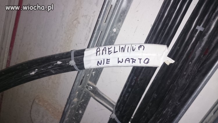 NIE WARTO 