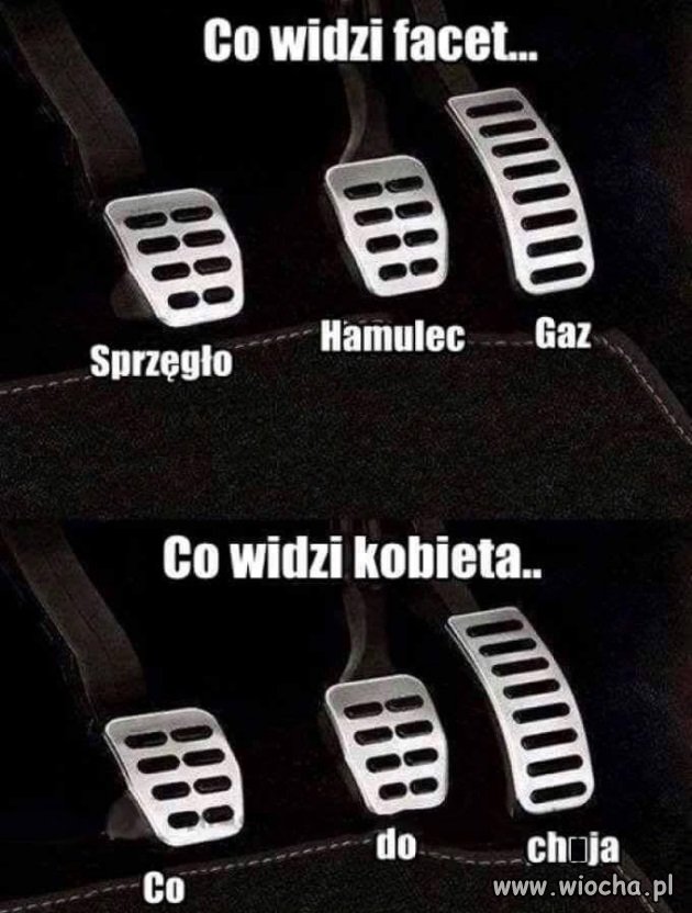 Co widzą kobiety