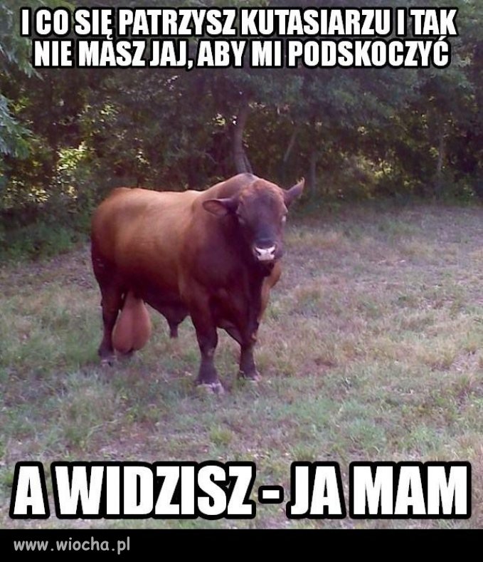 Niezręczna sytuacja