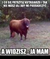 Niezręczna sytuacja