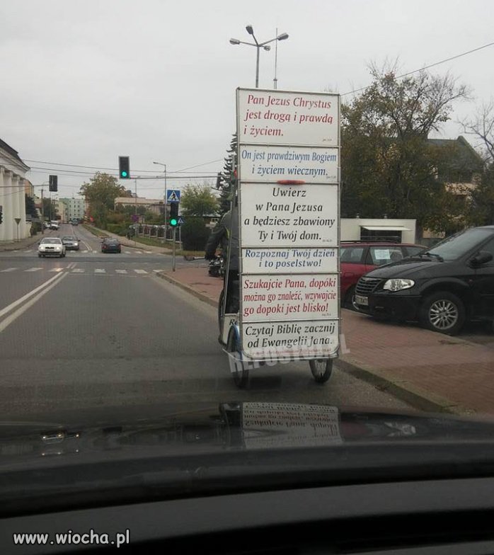 Dziwy z ulicy