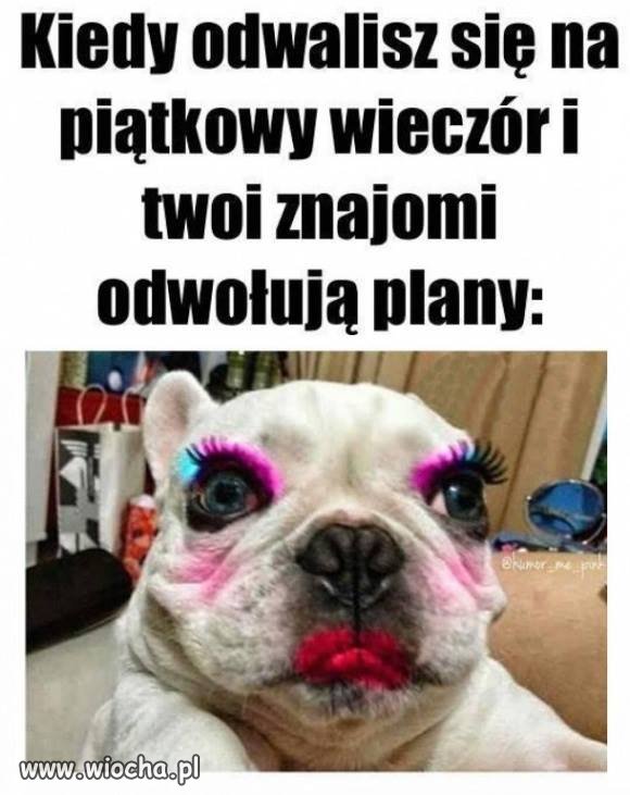 Zmienione plany