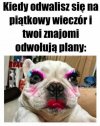 Zmienione plany