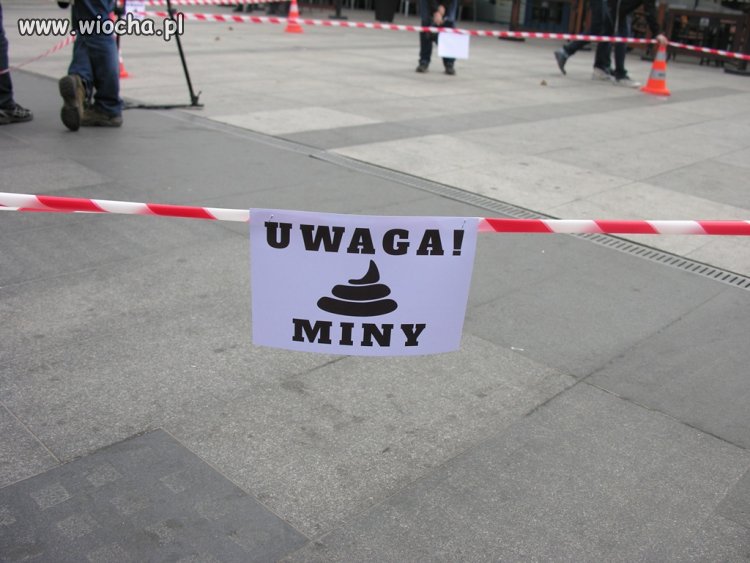 Walka z psimi odchodami