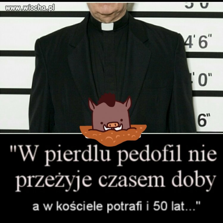 Nie twierdzę że wszyscy księża to pedofile
