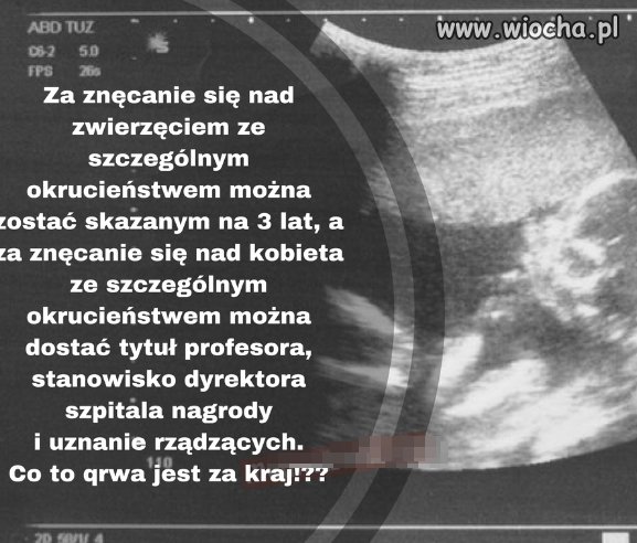 To jest Polska