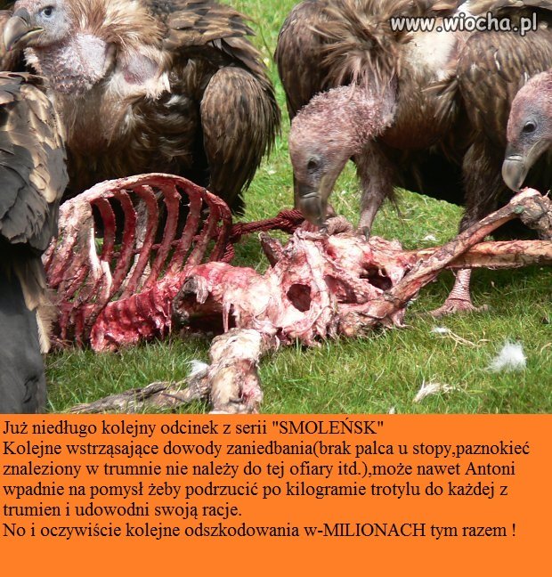 Prokuratura podjęła decyzje: