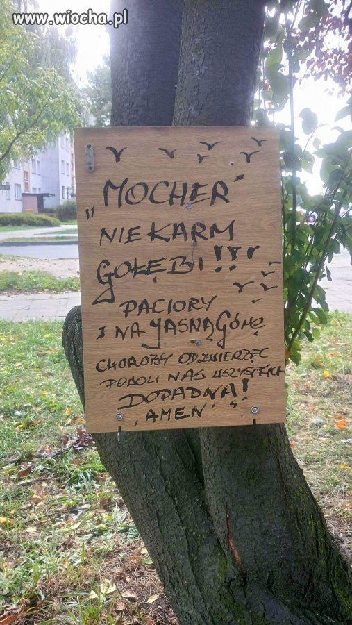 Nie karm gołębi 