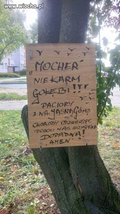 Nie karm gołębi 