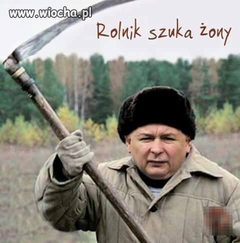 Rolnik szuka