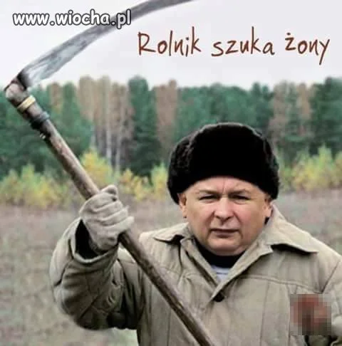 Rolnik szuka
