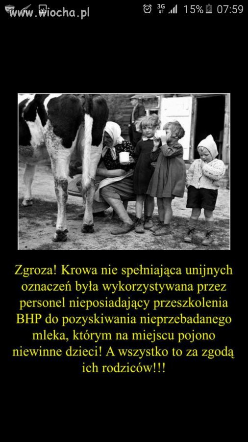 Krowa 