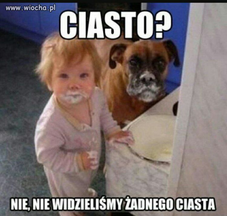 Najlepsi przyjaciele 