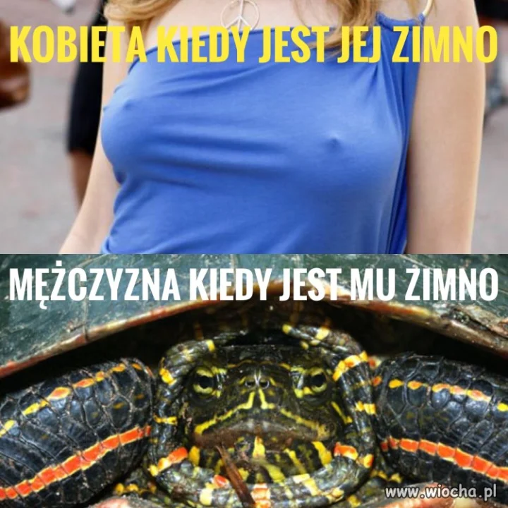 Zimno