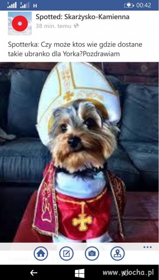 Ło matko !
