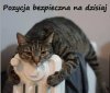 Włączyli ogrzewanie!