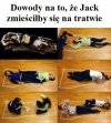 Można? Można.