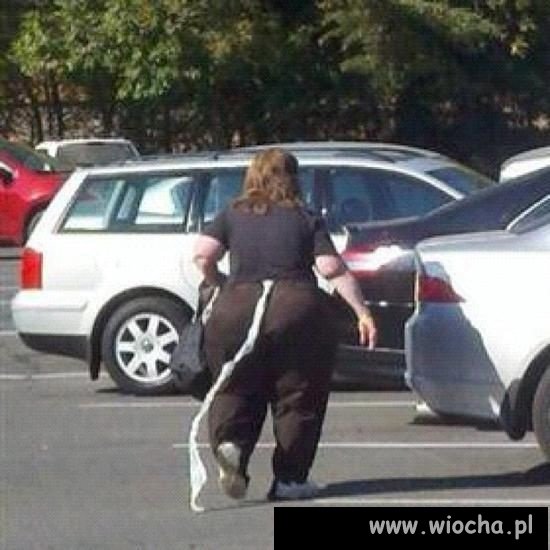Dlaczego w toaletach nie ma papieru toaletowego ?