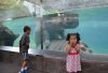 Pokazy w ZOO