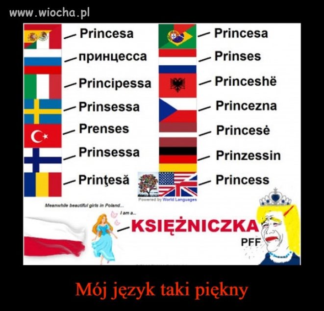 Język polski