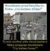 No już to widzę. Z życiem byś nie uszedł...